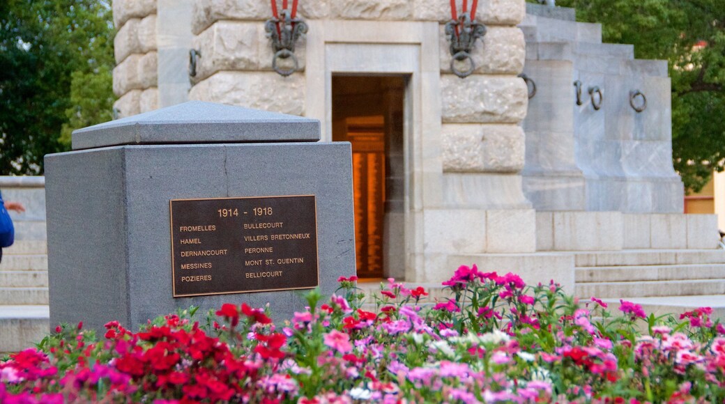Adelaide War Memorial som visar blommor