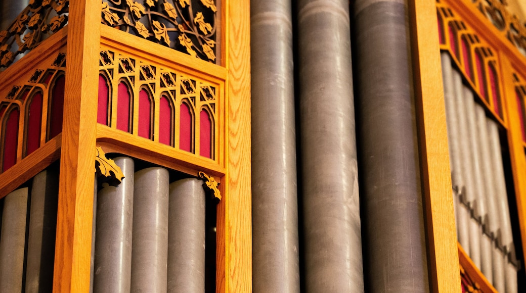 St Peter\'s Cathedral showing a church or cathedral