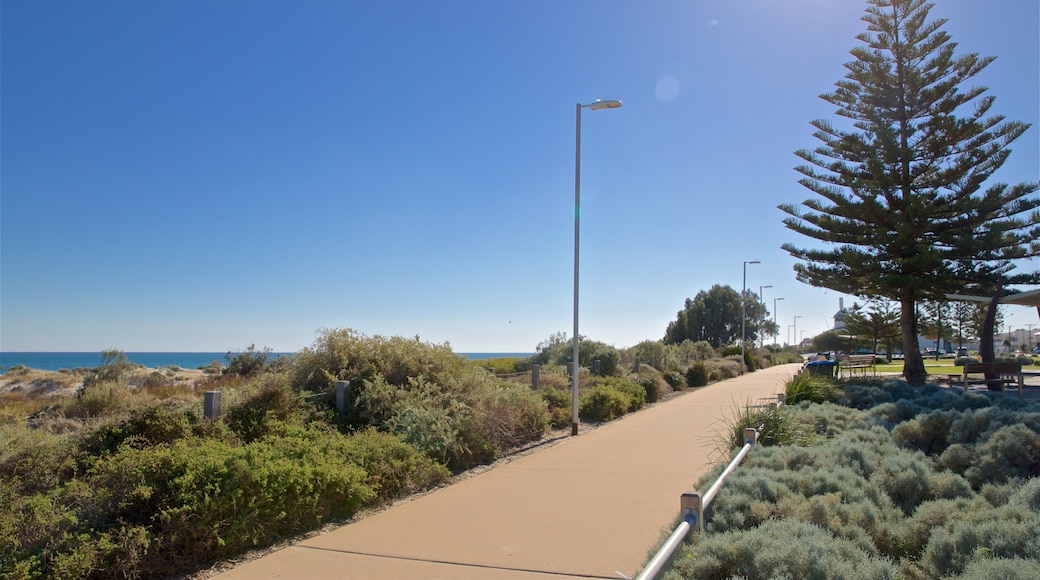 West Beach featuring a park