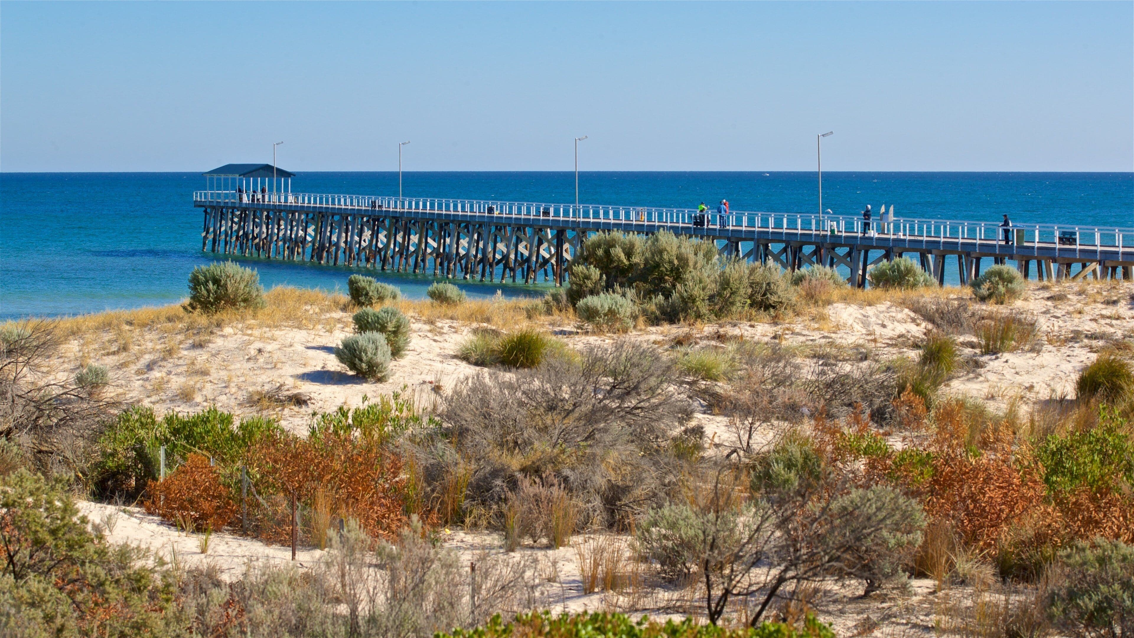 A pier extending into the sea with sparse vegetation in the foreground.