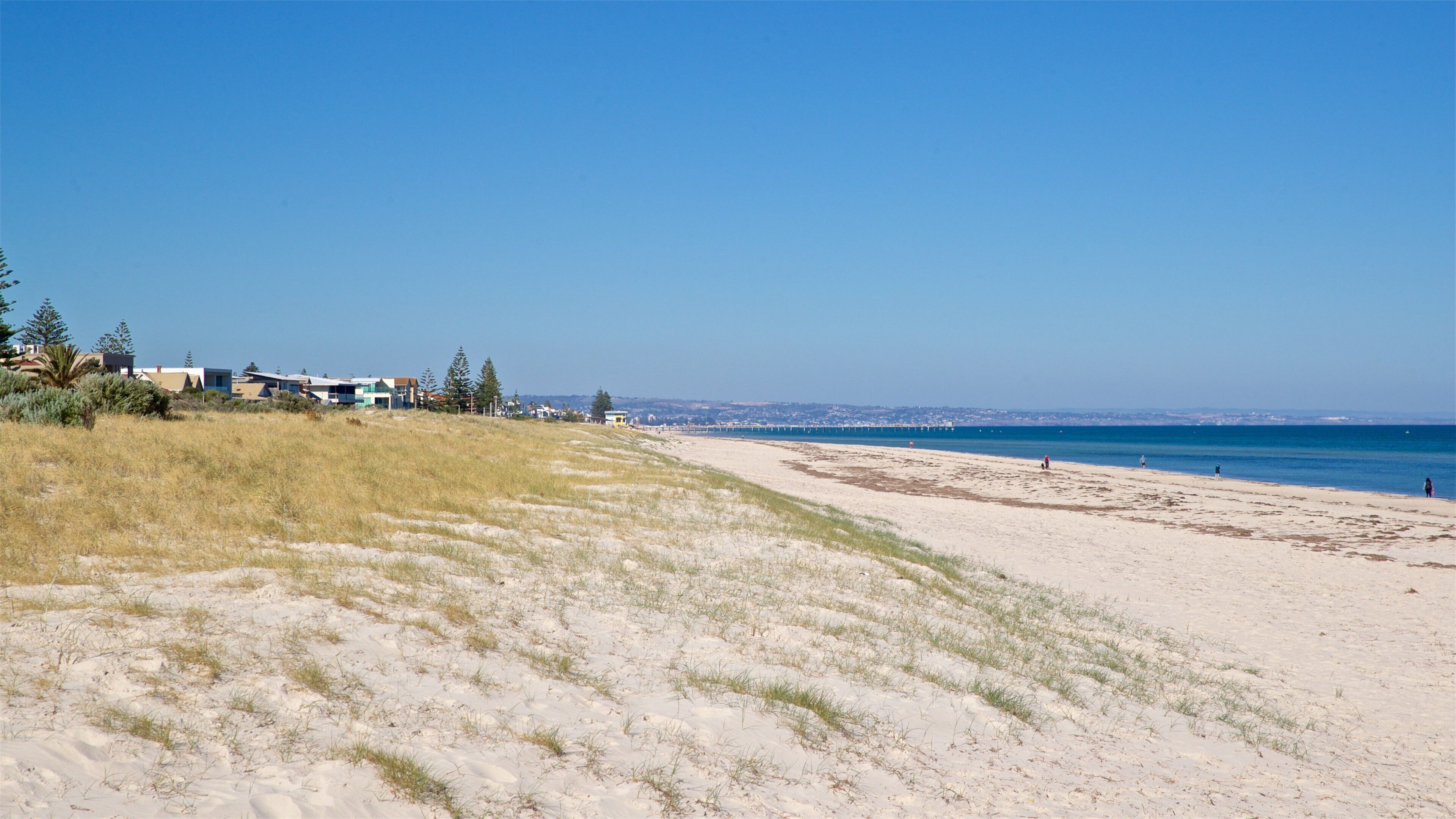 Grange Beach which includes a beach and general coastal views