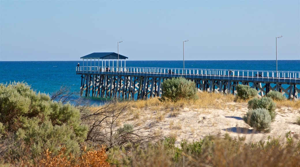 Grange Beach showing general coastal views and a beach