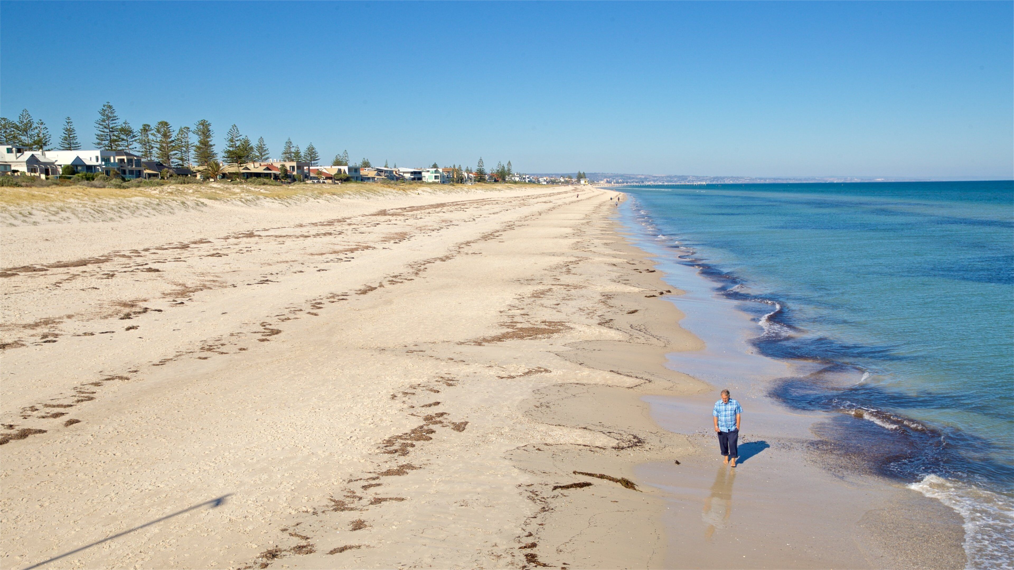 Grange Beach which includes general coastal views and a beach as well as an individual male