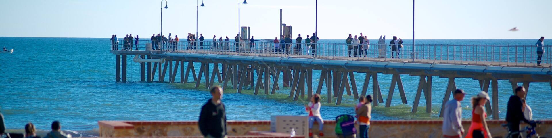 Adelaide presenterar en trÀdgÄrd och kustutsikter sÄvÀl som en stor grupp av mÀnniskor