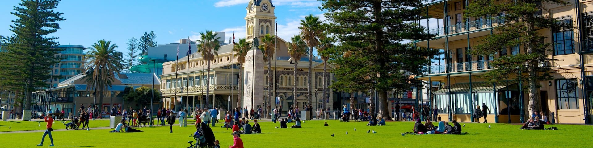 Adélaïde mettant en vedette parc et ville aussi bien que important groupe de personnes