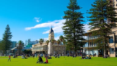 Glenelg Beach featuring a garden and a city as well as a large group of people