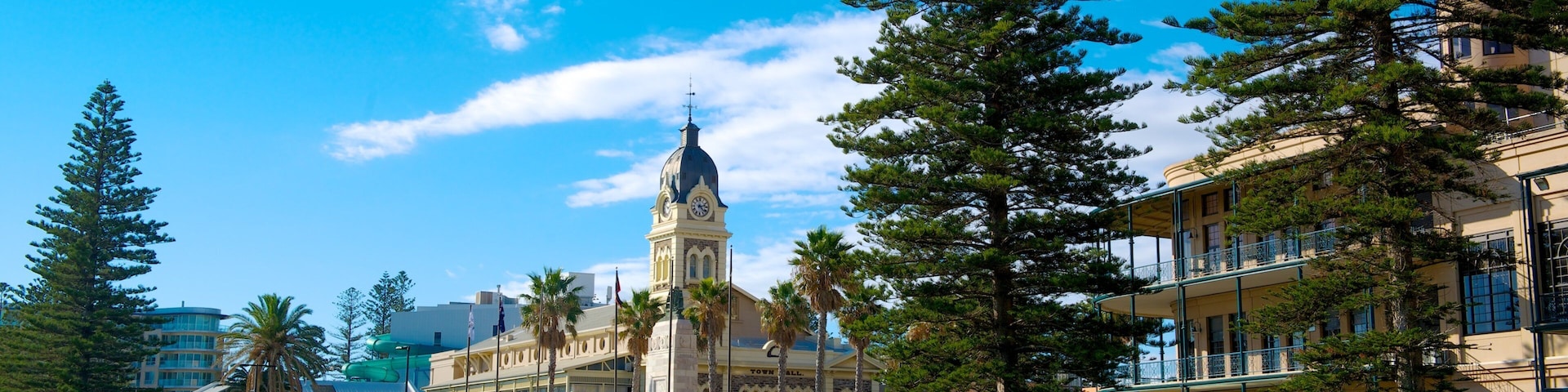 Glenelg Beach showing a garden and a city as well as a large group of people
