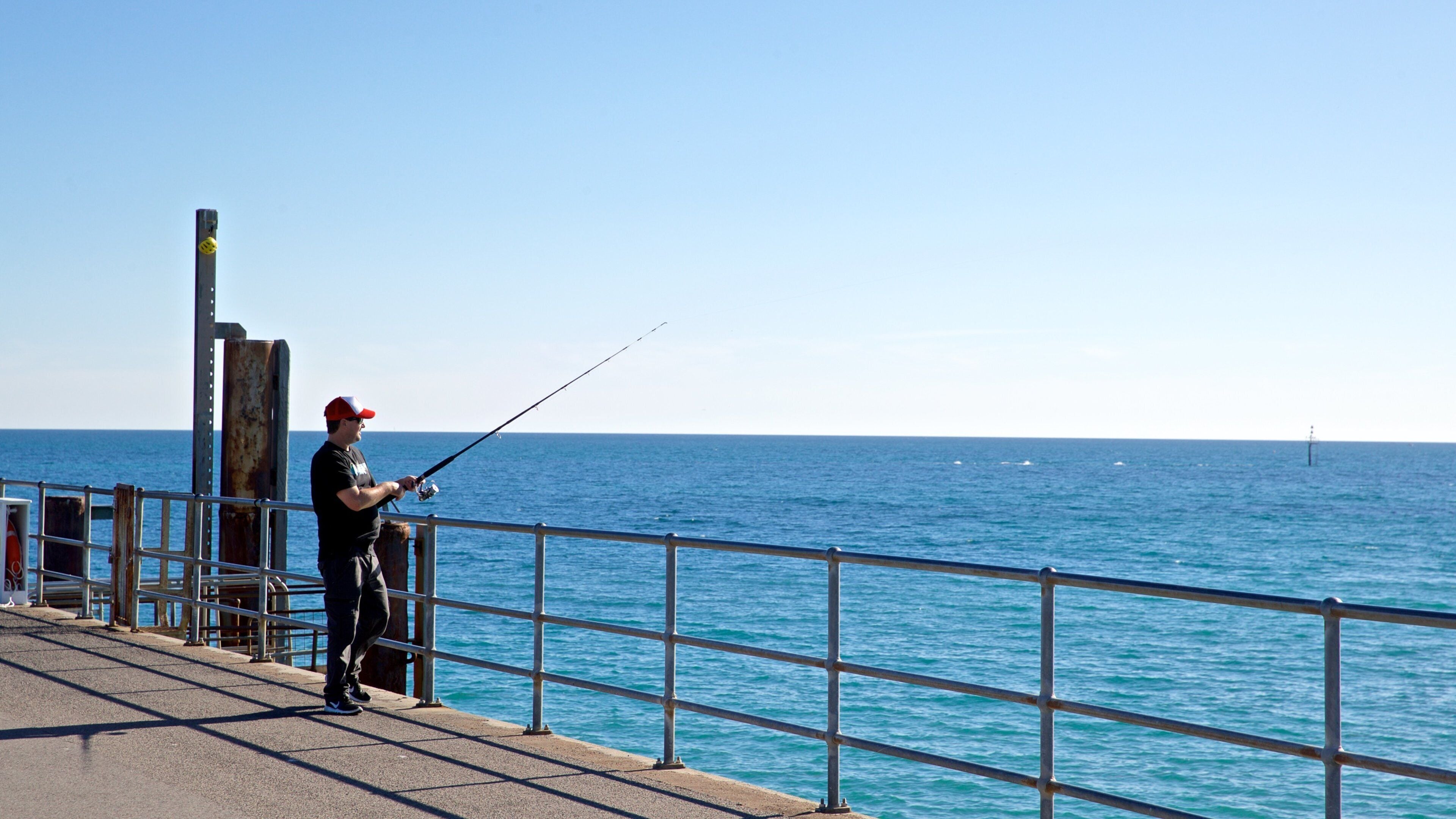 Glenelg Jetty featuring general coastal views and fishing as well as an individual male