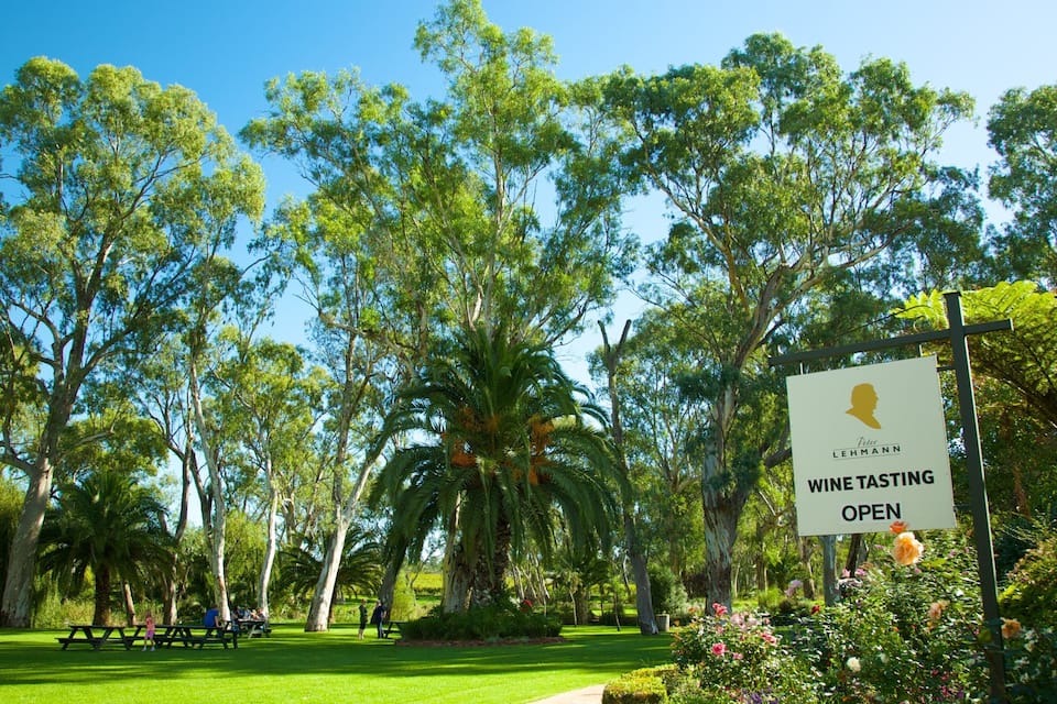 A park with picnic tables and people. A sign indicates a wine tasting event.