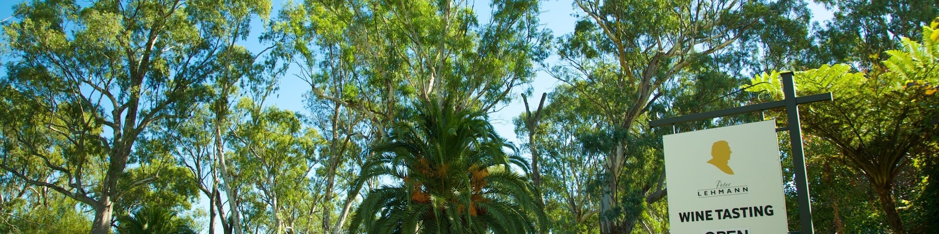 Peter Lehmann showing landscape views, a park and signage