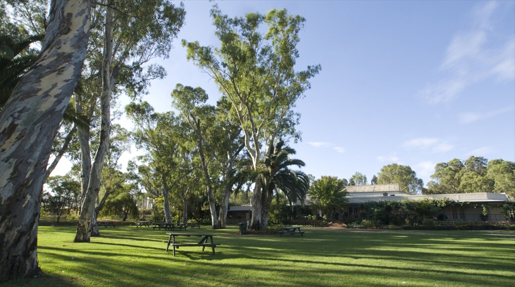 ํผํฐ ๋ ๋ง ์ ๋ณด์ฌ์ฃผ๋ ๊ณต์