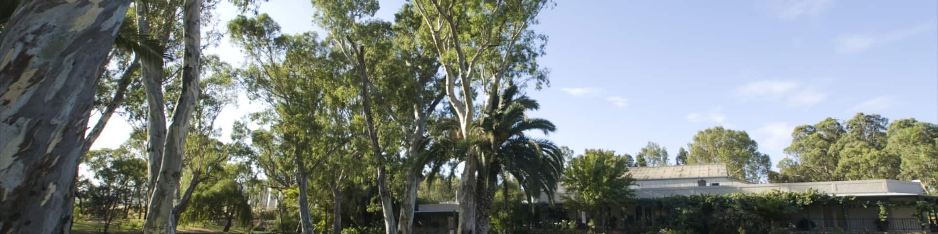 Peter Lehmann mettant en vedette jardin