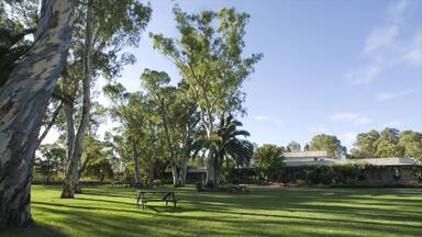 Peter Lehmann featuring a park