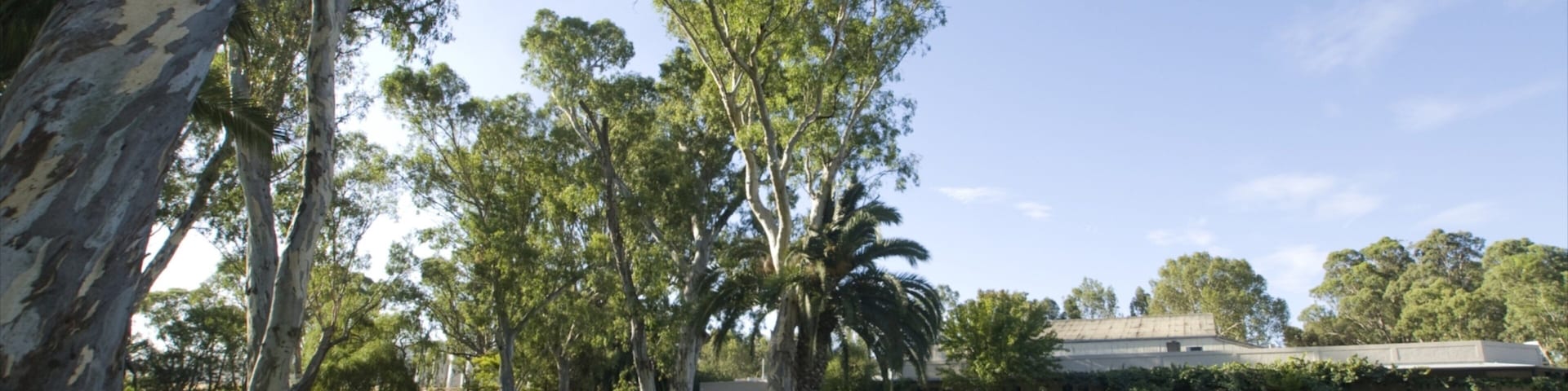 Peter Lehmann featuring a park