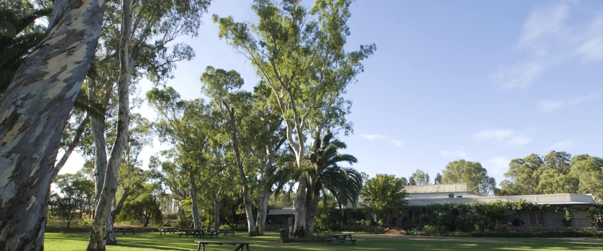 A park with picnic tables, tall trees, and a building in the background.