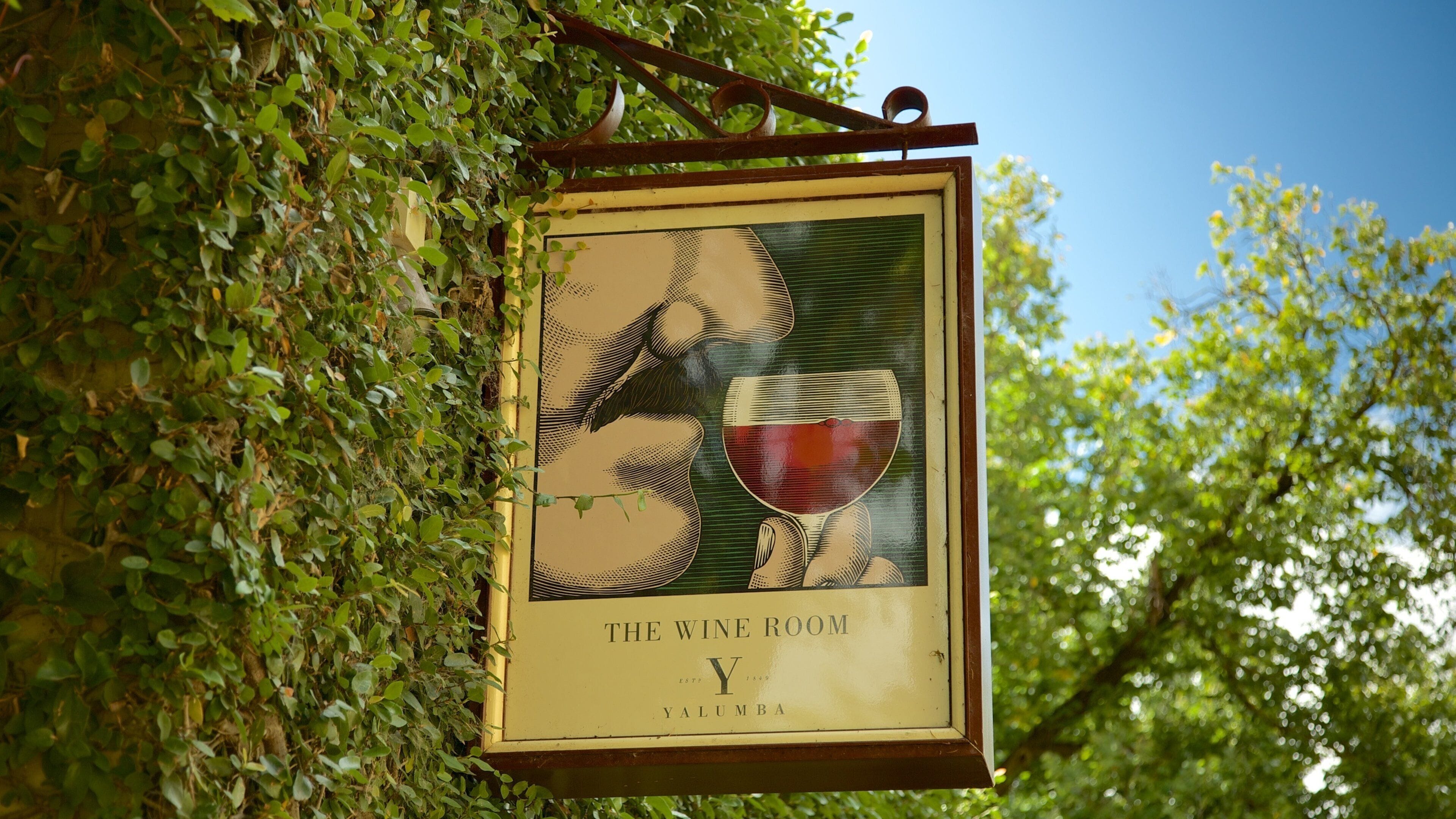 A vintage wine sign with a grapevine background.