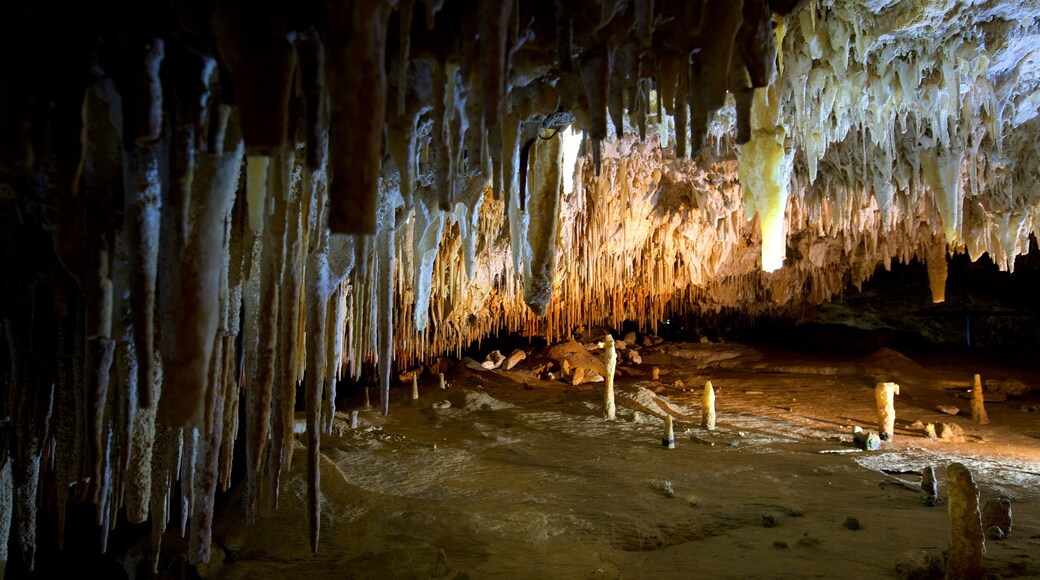 凱利山保育公園