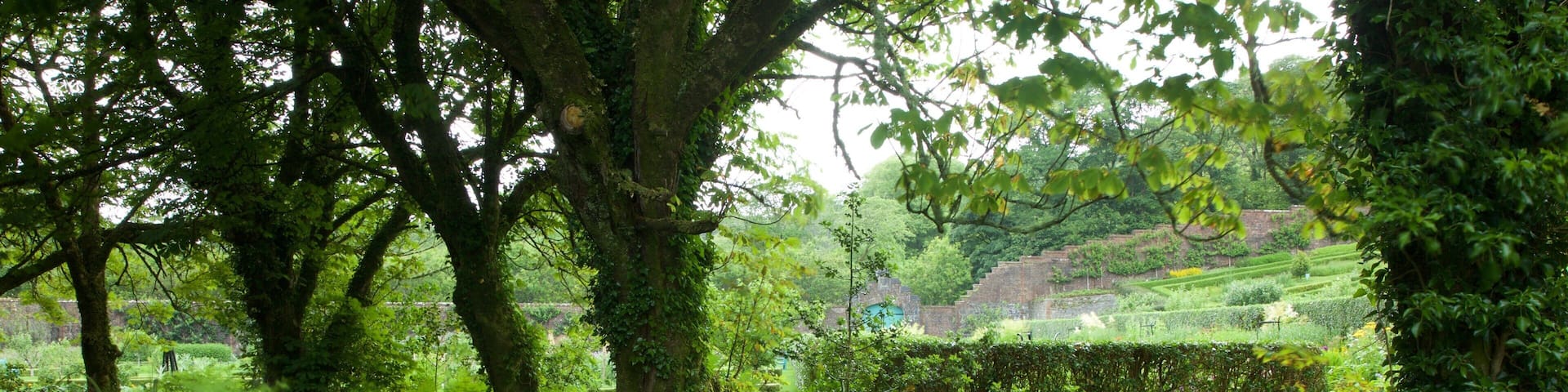 Kylemore Abbey & Garden featuring a garden