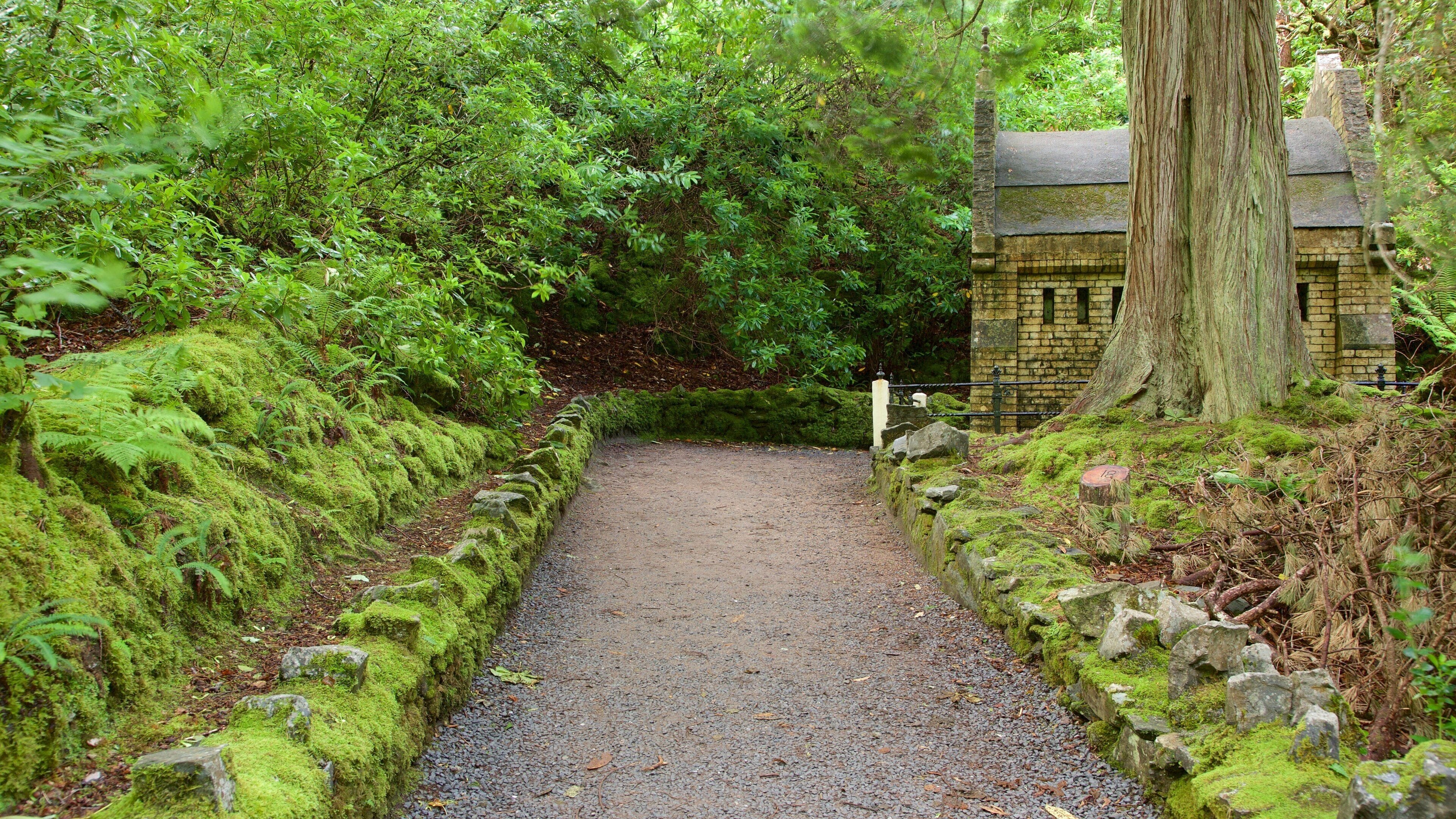 Kylemore Abbey & Garden featuring building ruins and a park