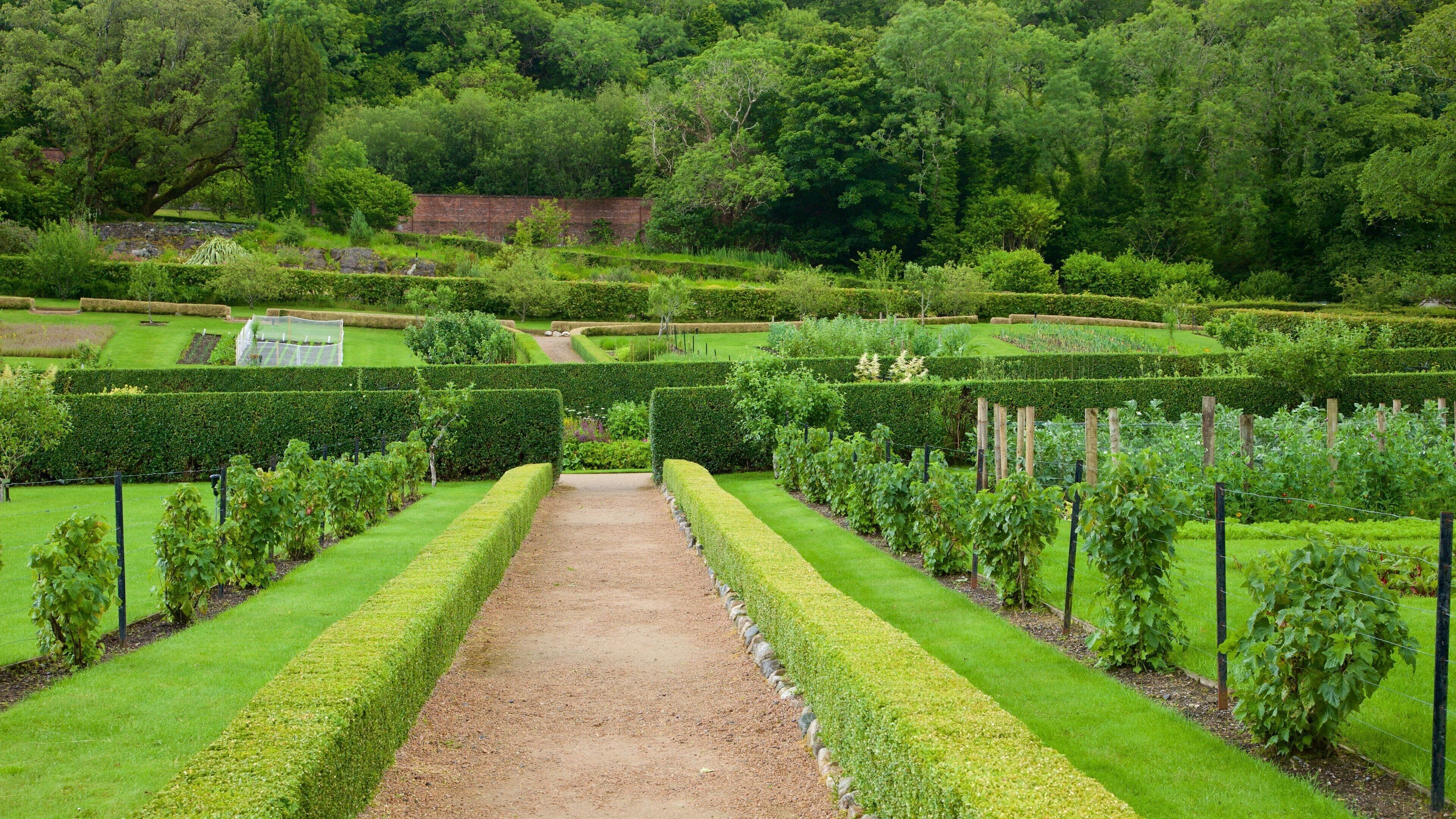 Kylemore Abbey & Garden showing a garden, heritage elements and château or palace