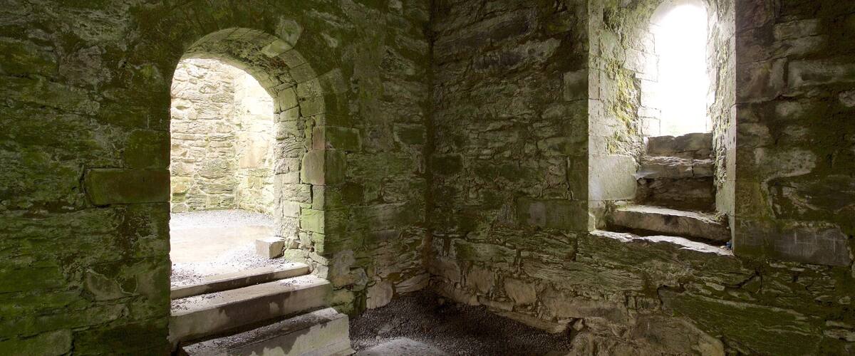 Cong Abbey which includes a castle, heritage architecture and heritage elements