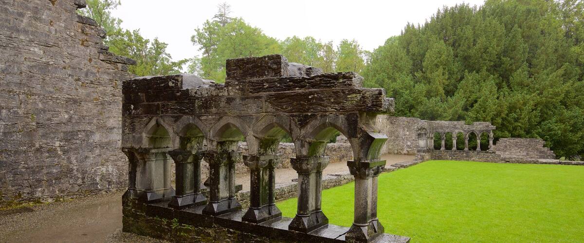 Cong Abbey featuring heritage architecture, building ruins and château or palace