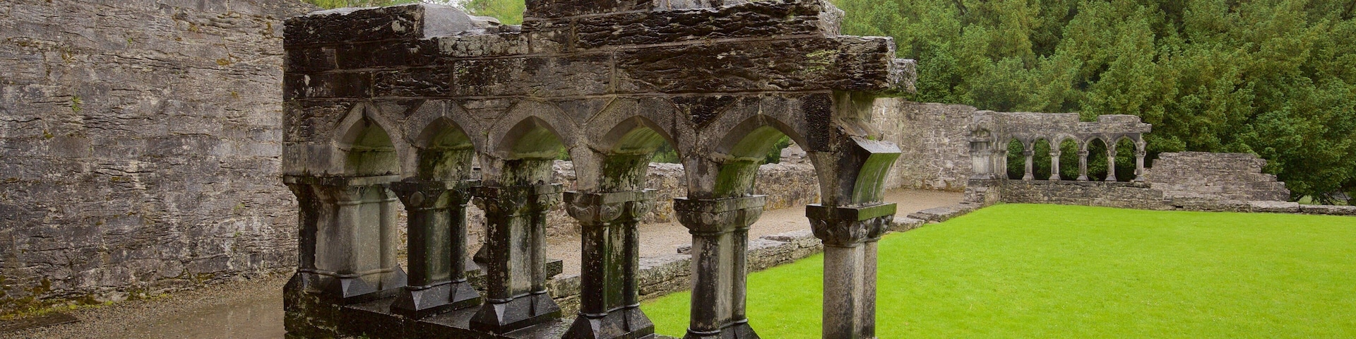 Cong Abbey featuring heritage elements, a castle and heritage architecture
