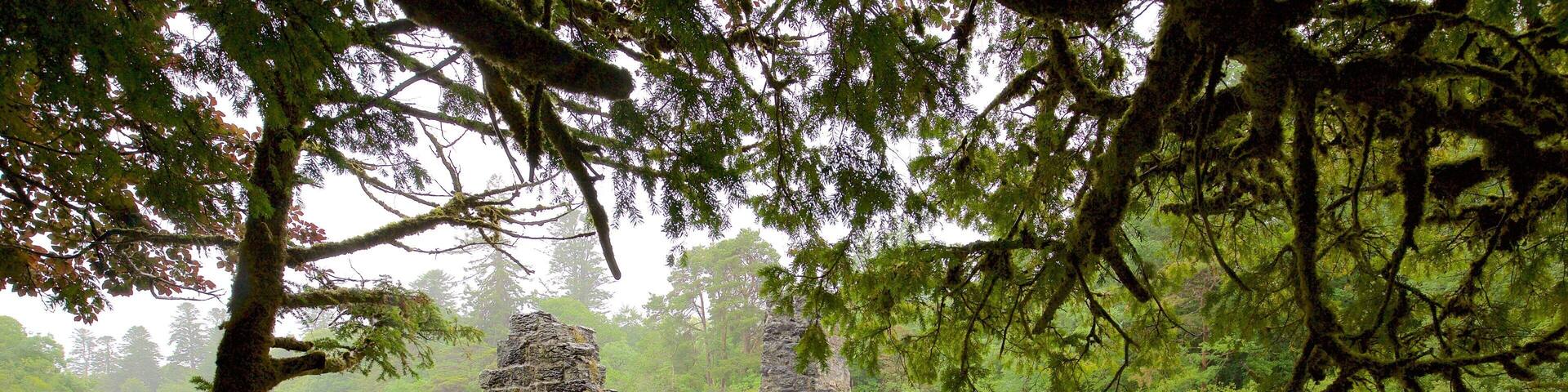 Cong Abbey which includes a river or creek, building ruins and heritage elements