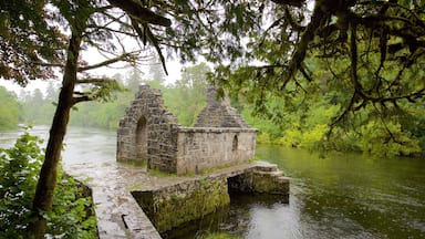Cong Abbey featuring a ruin, heritage elements and a river or creek