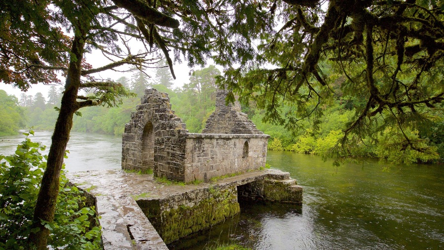 Cong Abbey which includes heritage elements, building ruins and a river or creek