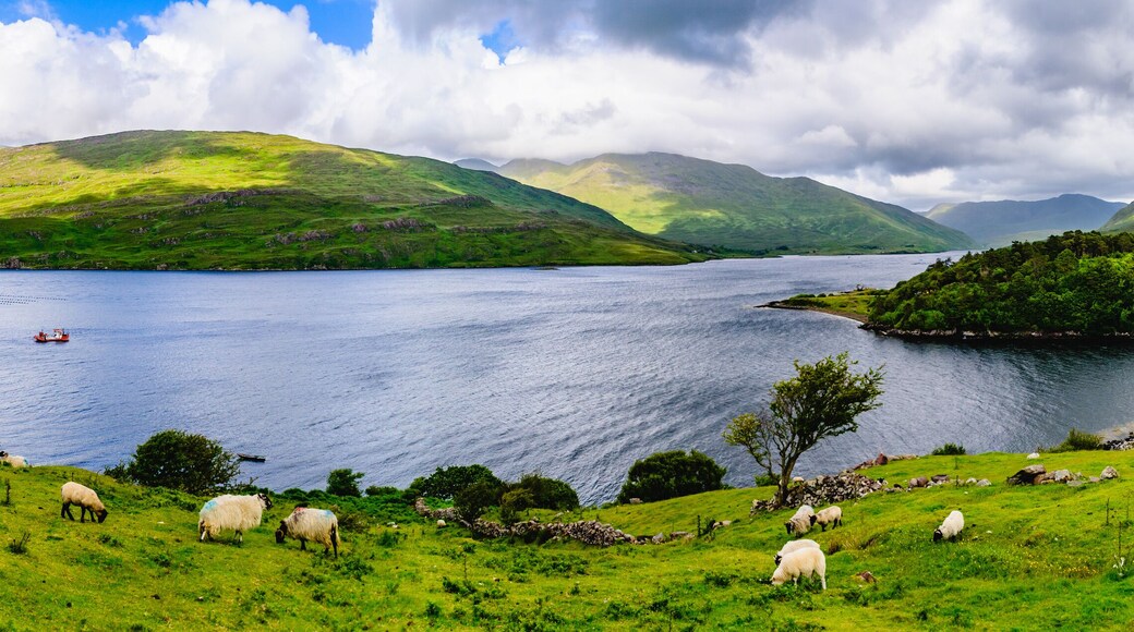 Lough Nafooey, County Clare, Ireland.