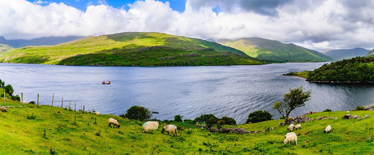 A lake surrounded by green hills, a boat on the water, and sheep grazing on the shore.