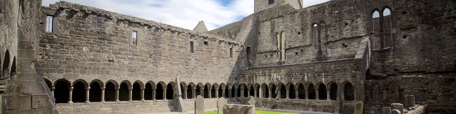 Sligo Abbey caracterizando arquitetura de patrimônio, um castelo e elementos de patrimônio