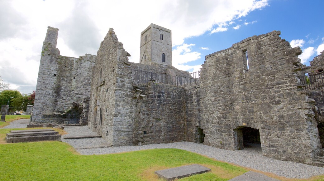 Sligo Abbey featuring château or palace, a ruin and heritage architecture