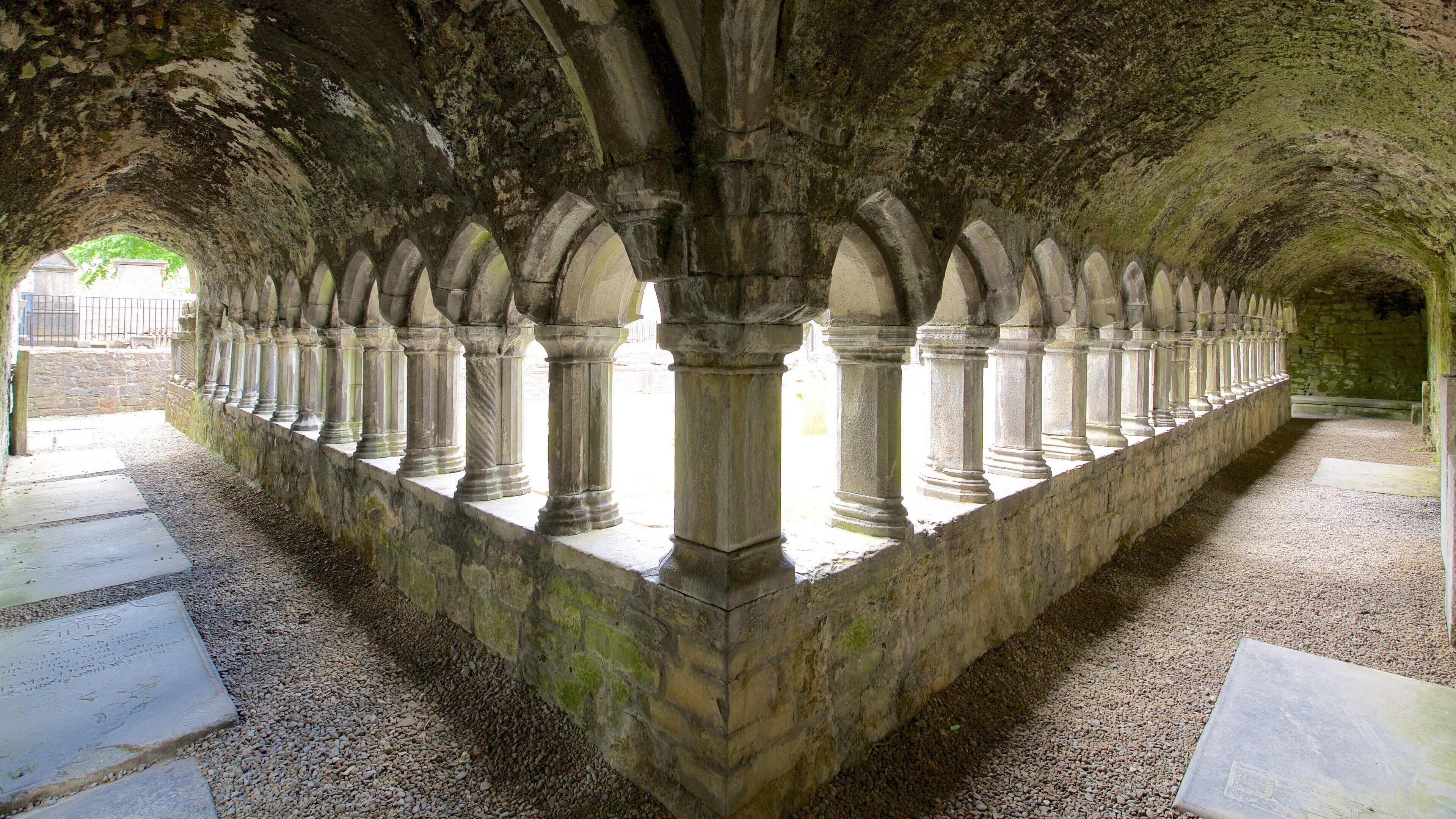 Sligo Abbey featuring a castle, heritage elements and a ruin