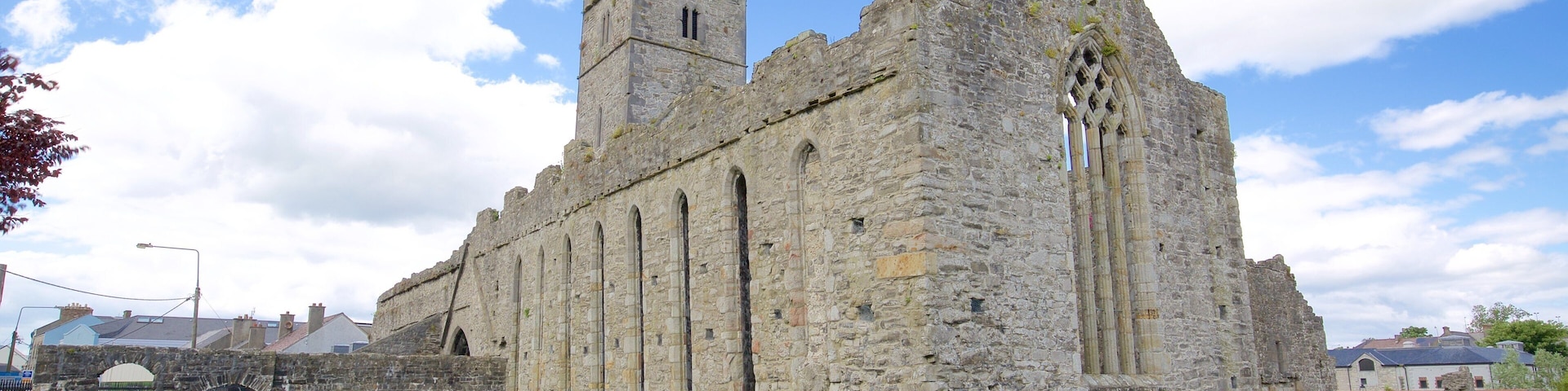 Sligo Abbey featuring a church or cathedral, heritage architecture and heritage elements
