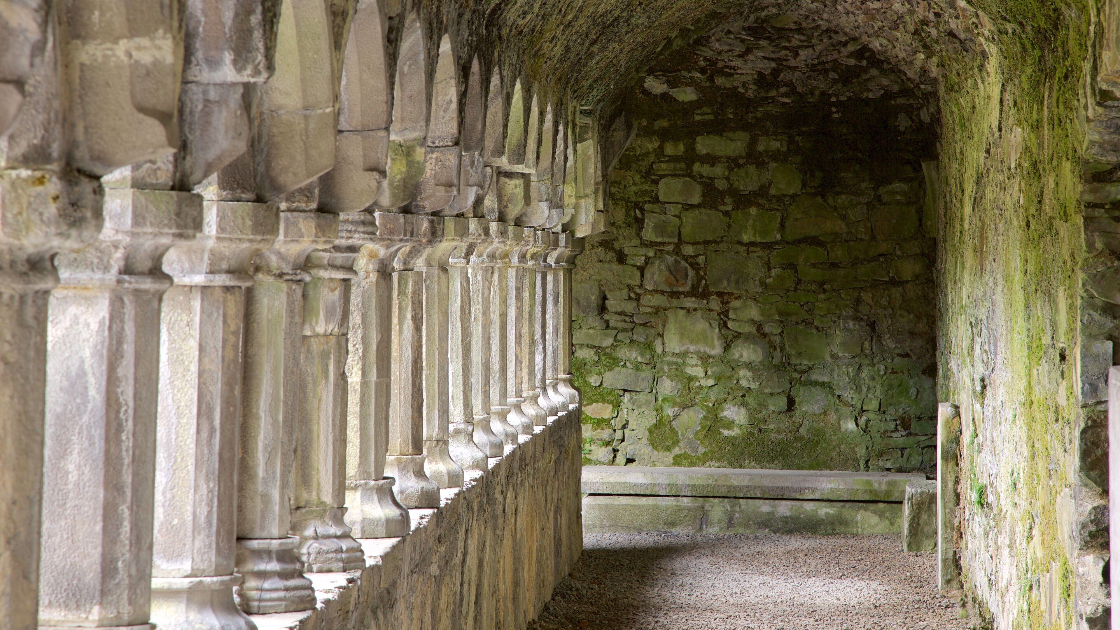 Sligo Abbey which includes chateau or palace, interior views and heritage architecture
