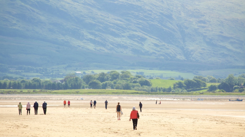 Strandhill Beach som inkluderer strand og rolig landskap i tillegg til en liten gruppe med mennesker