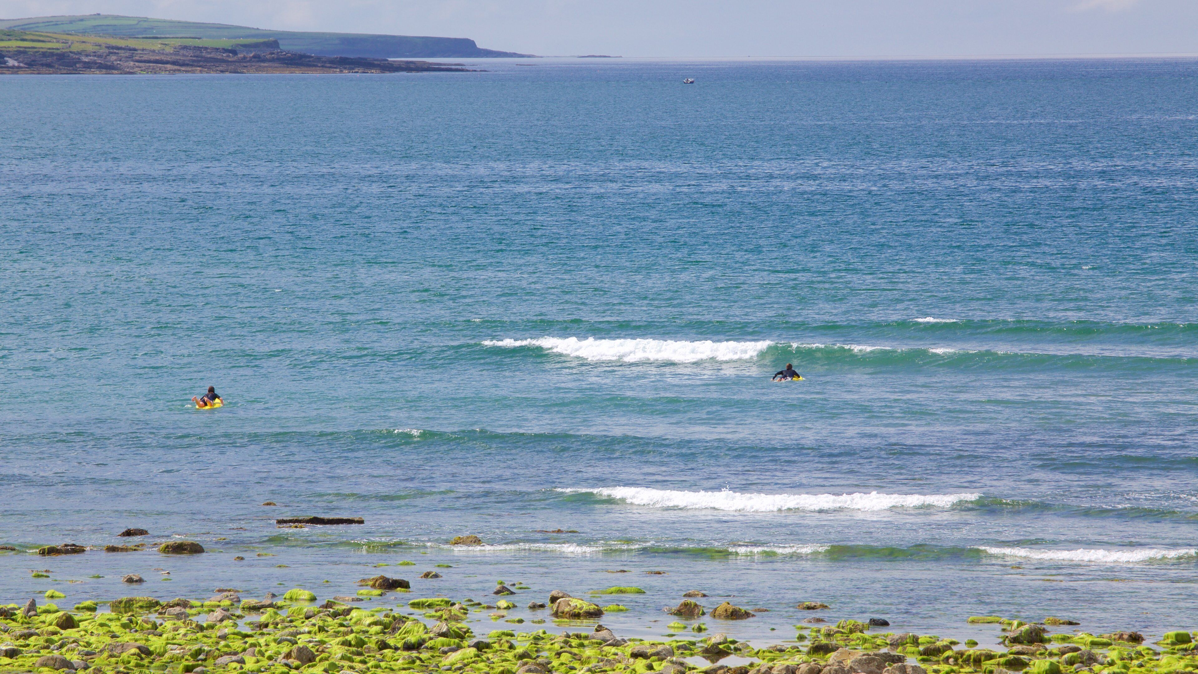 Strandhill Beach showing general coastal views and rocky coastline