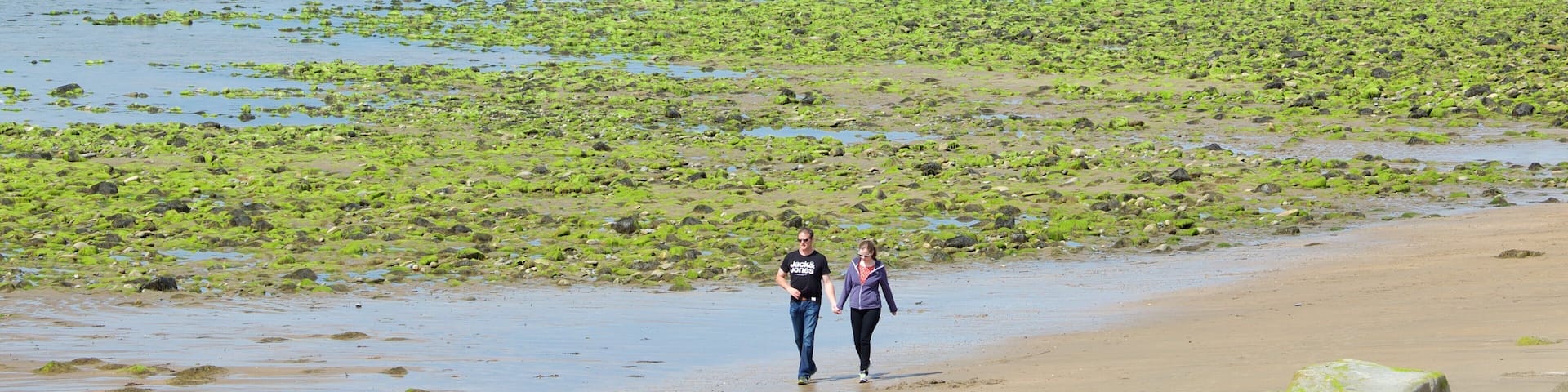 Strandhill Beach showing general coastal views and a sandy beach as well as a couple