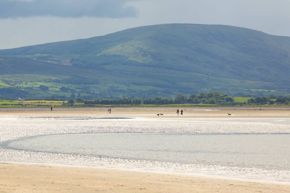 A beach with a mountain in the background.