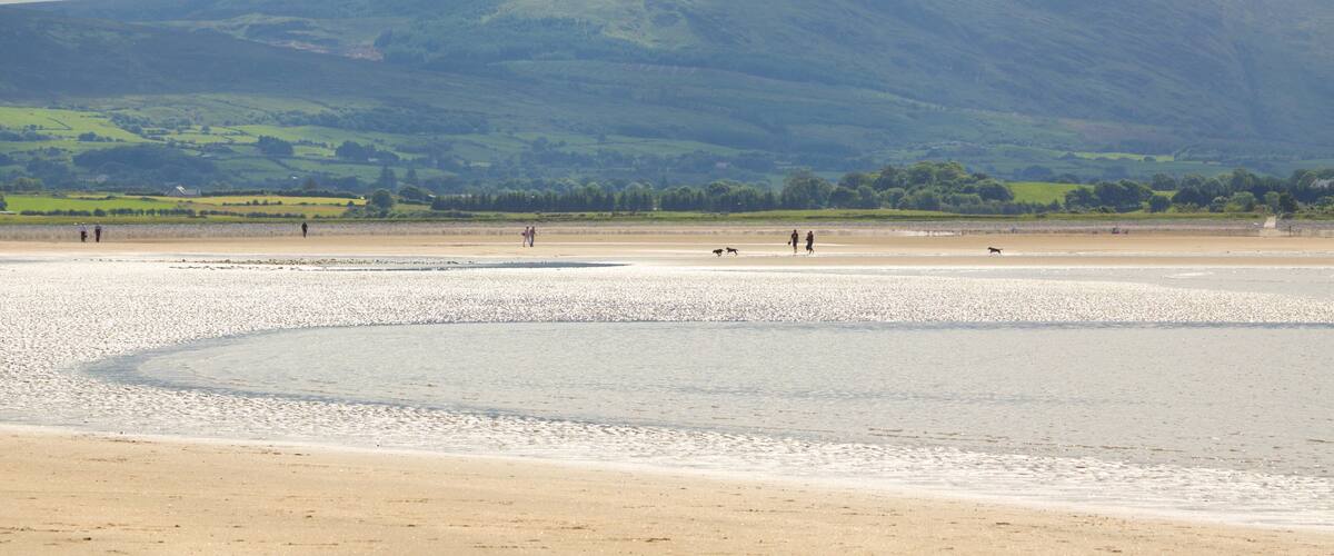 A beach with a mountain in the background.