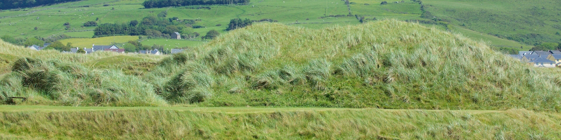 Strandhill Beach showing tranquil scenes and golf