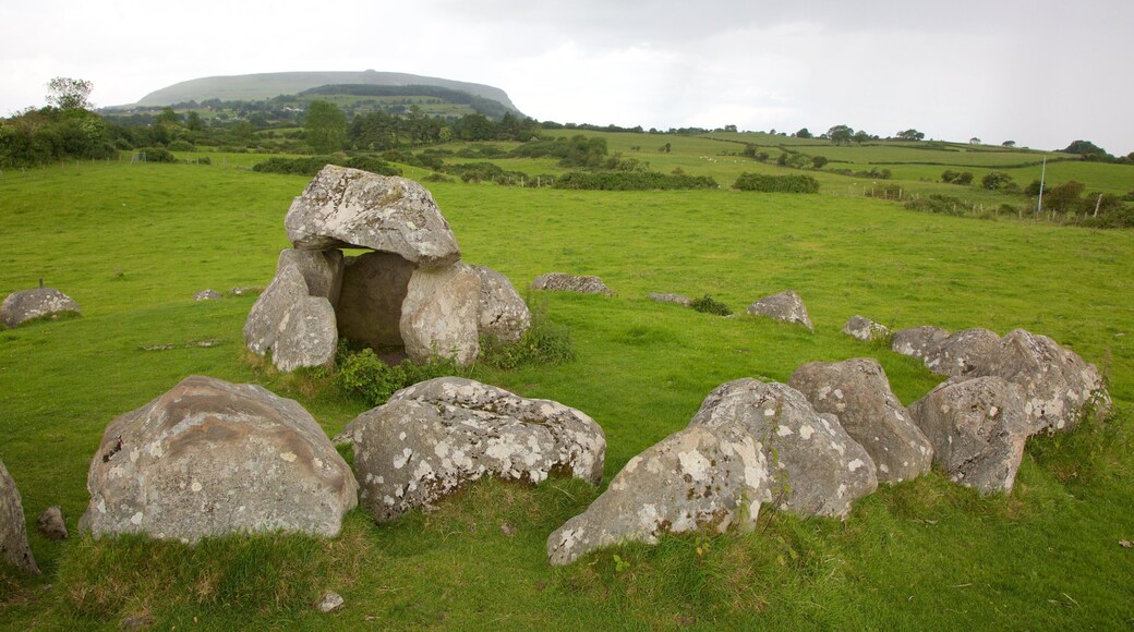Carrowmore Megalithic Cemetery mostrando un cementerio, elementos del patrimonio y escenas tranquilas
