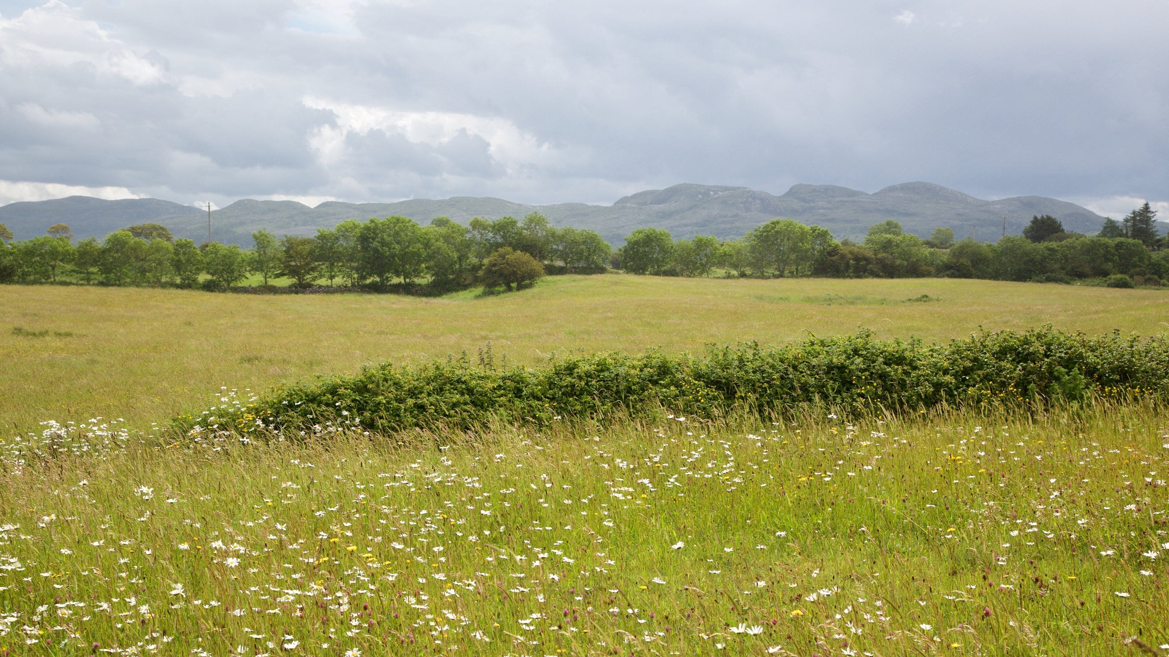 Carrowmore Megalithic Cemetery som viser rolig landskap og landskap