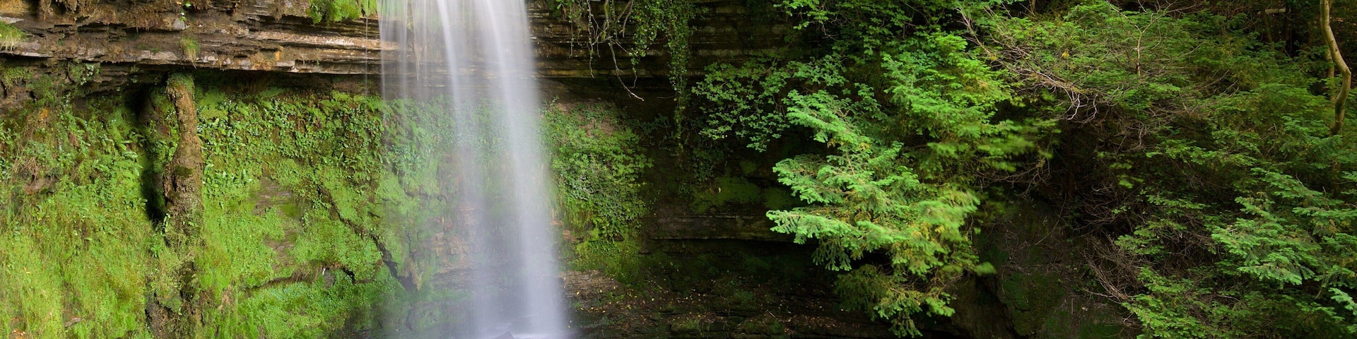 Glencar Waterfall showing forests, a waterfall and a lake or waterhole