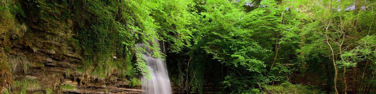 Glencar Waterfall which includes tranquil scenes, a pond and forest scenes