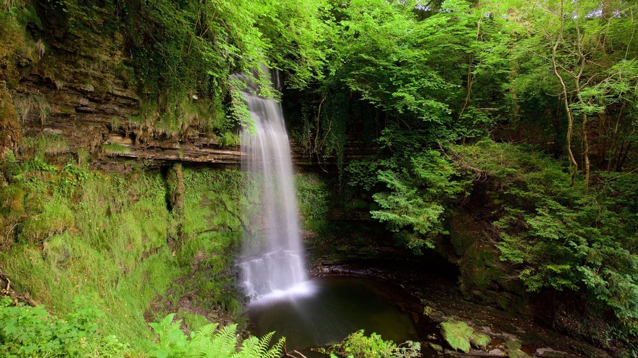 Glencar Waterfall featuring forests, a waterfall and a pond