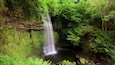 A waterfall cascading into a small pool surrounded by lush green foliage and rocky cliffs.