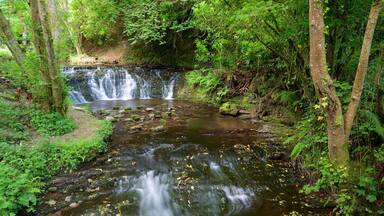 Glencar Waterfall featuring forests, a river or creek and tranquil scenes